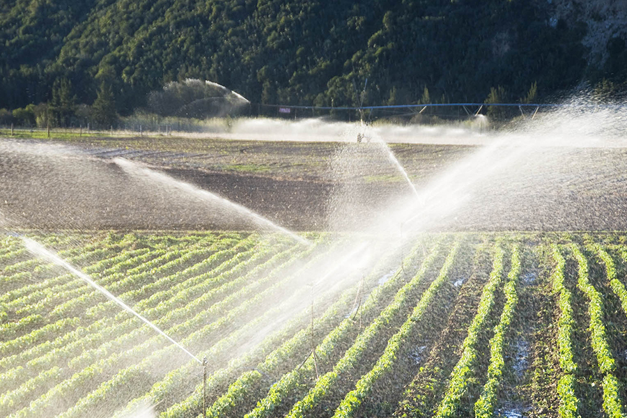 Tự động hóa nông nghiệp