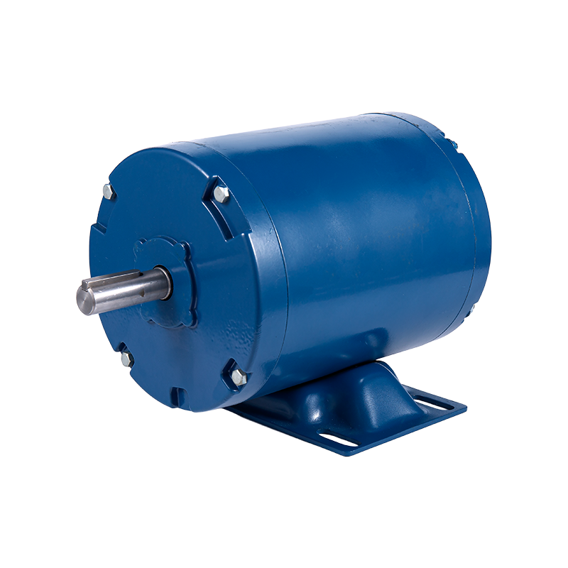 Động cơ cảm ứng điện một pha công suất cao Y286145